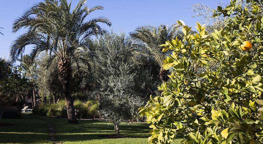 Villa Baraka, villa à Marrakech – photo 6