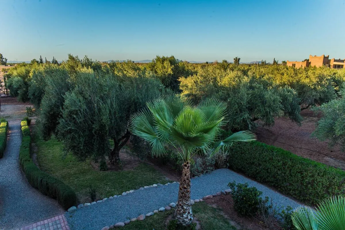Villa Magnifico, villa à Marrakech – photo 8