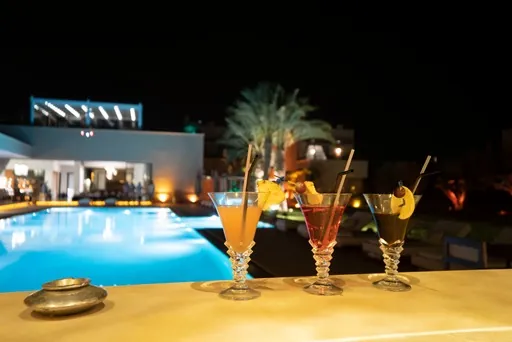 Villa Talaa, villa à Marrakech – photo 9