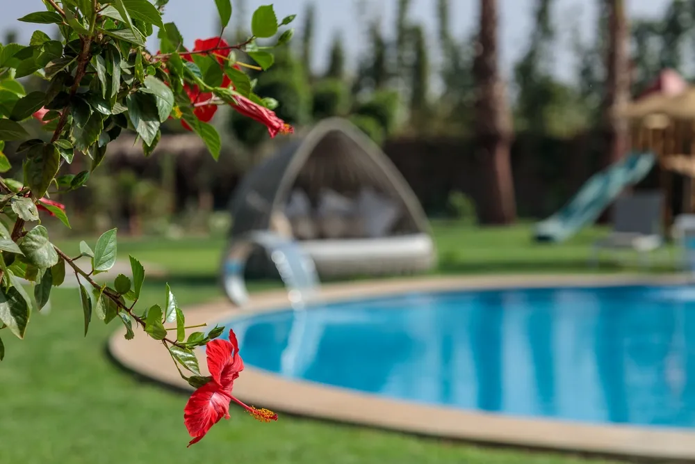Villa Pura, villa in Marrakesch – Foto 21