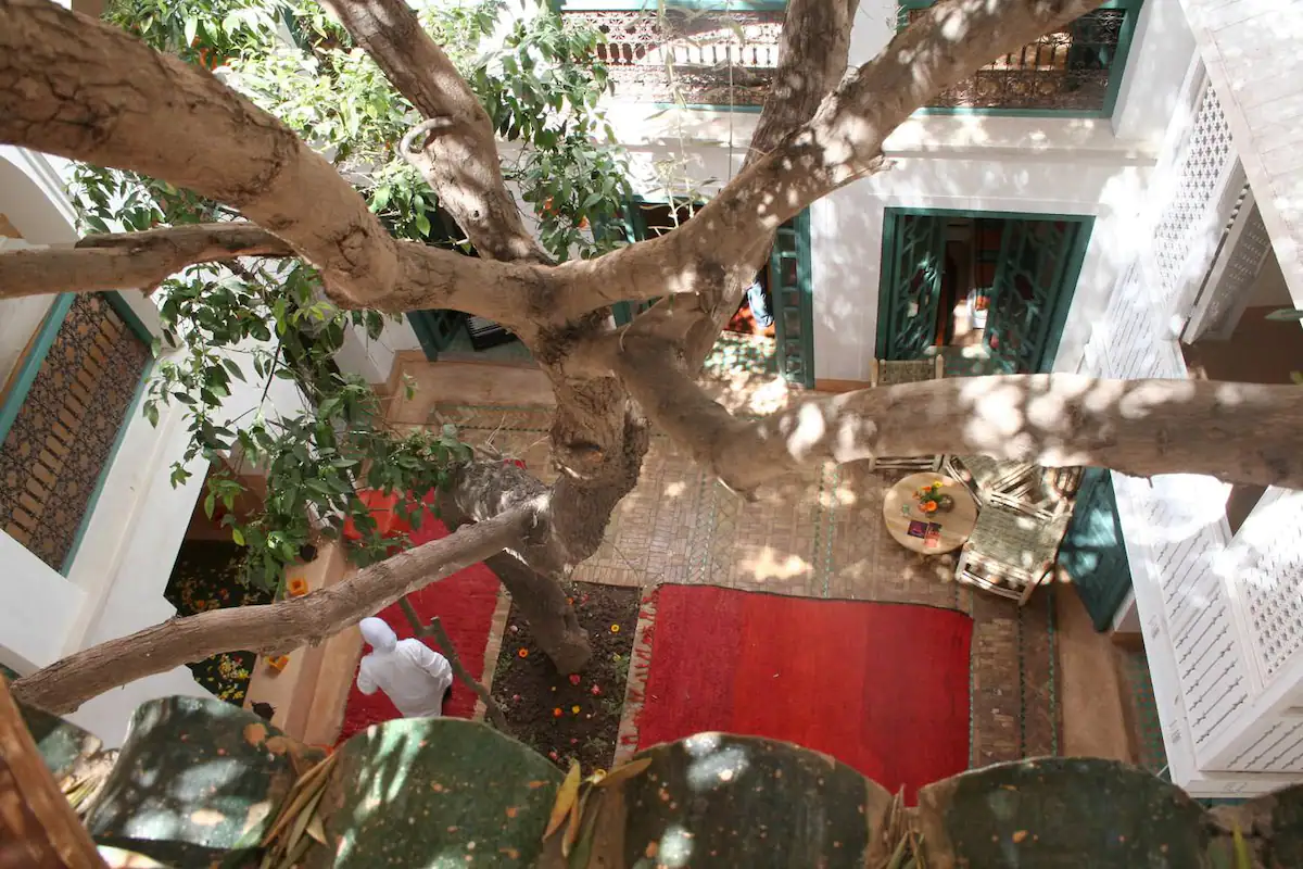 Riad Dar Zitouna, riad in Marrakesch – Foto 4