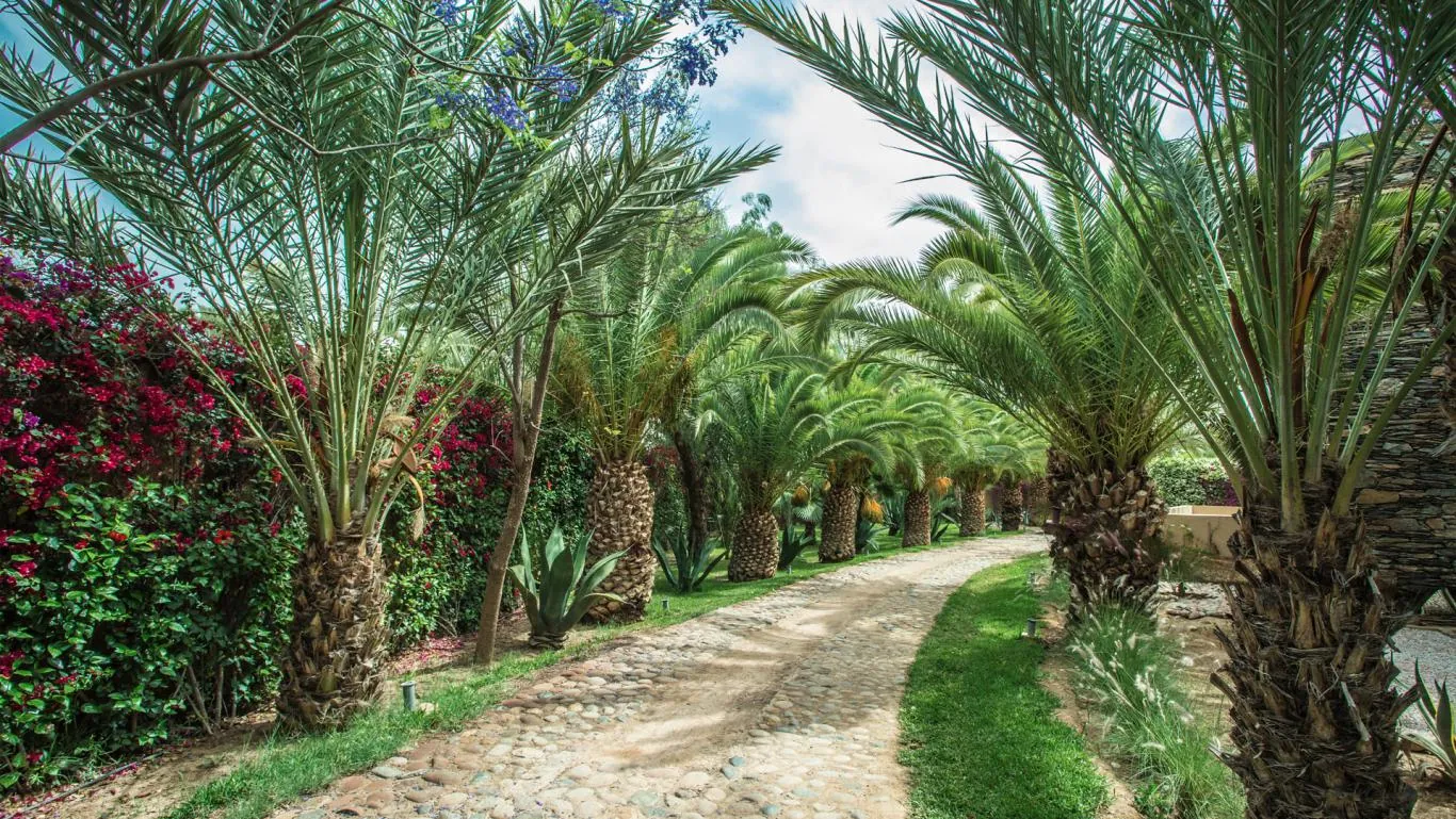 Villa Oissa, villa in Marrakesch – Foto 13