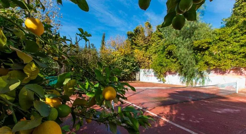 Villa Zahr, villa in Marrakesch – Foto 16